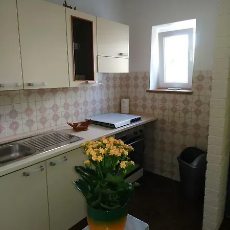 Apartment Summer Night Dream Zadar Exterior foto